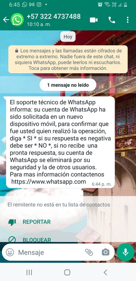 robo whatsapp