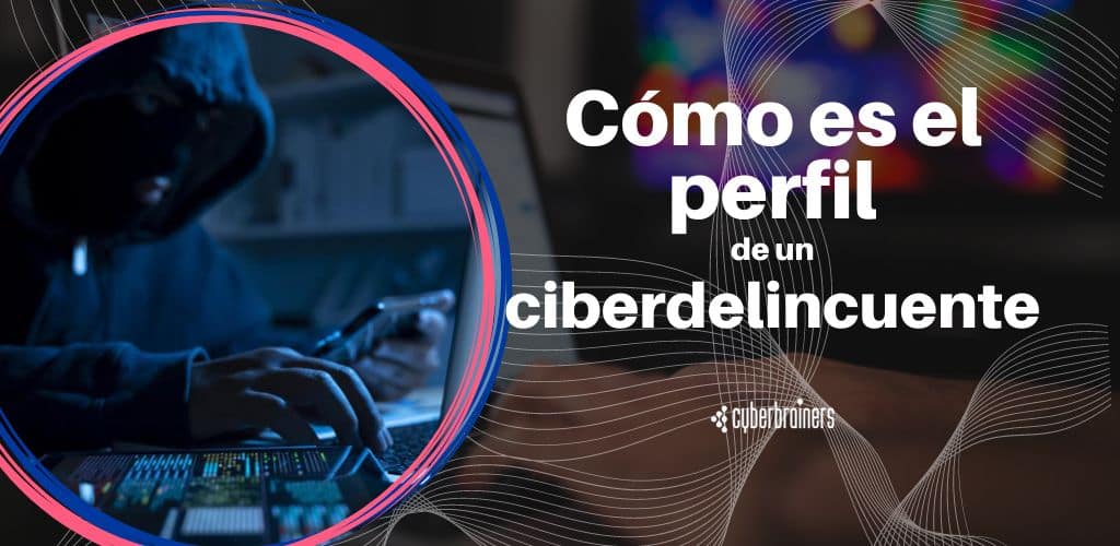 perfil ciberdelincuente