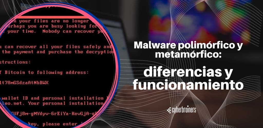 Malware polimórfico y metamórfico: diferencias y funcionamiento