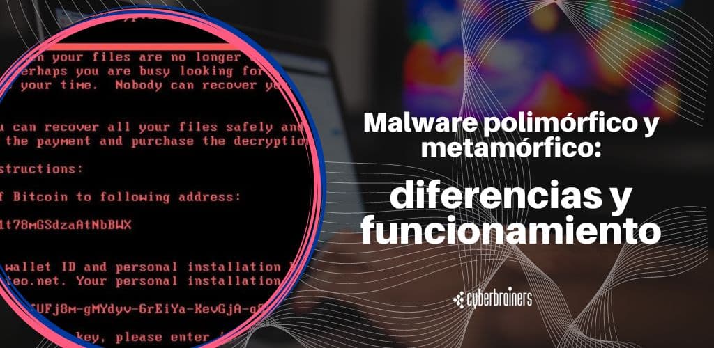 Malware polimórfico y metamórfico: diferencias y funcionamiento